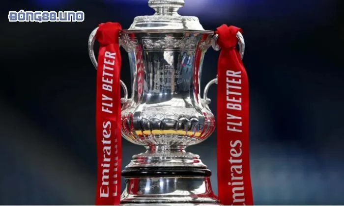 Lịch sử ra đời và tiến trình phát triển của giải AFF Cup