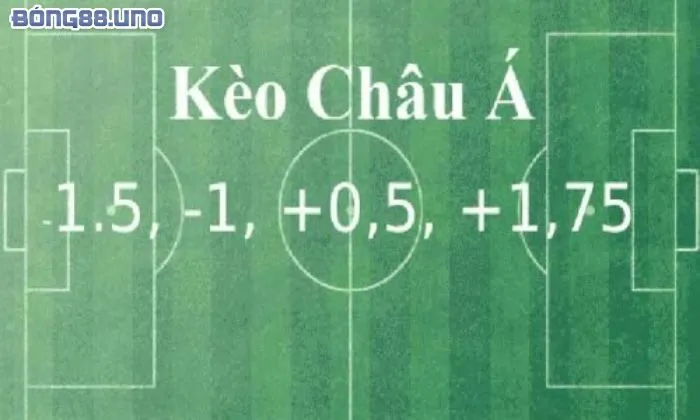 Cách đọc các loại kèo Châu Á trong cá độ bóng đá