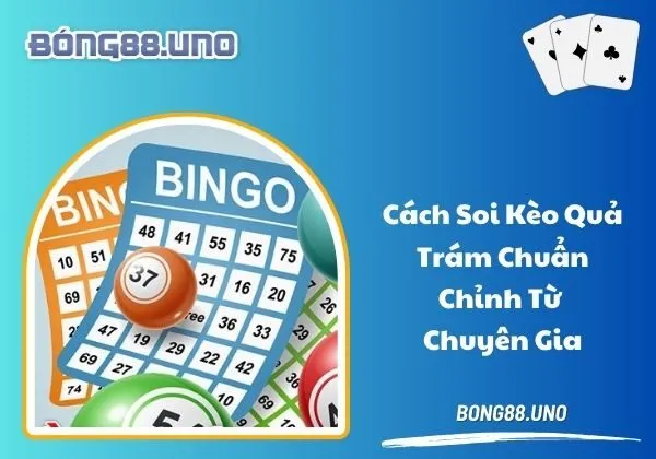 cách soi kèo quả trám