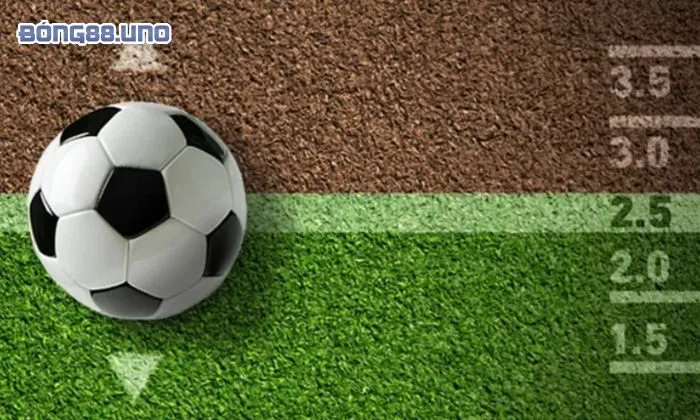 Chi tiết cách chơi kèo 2.5-3 hiệu quả