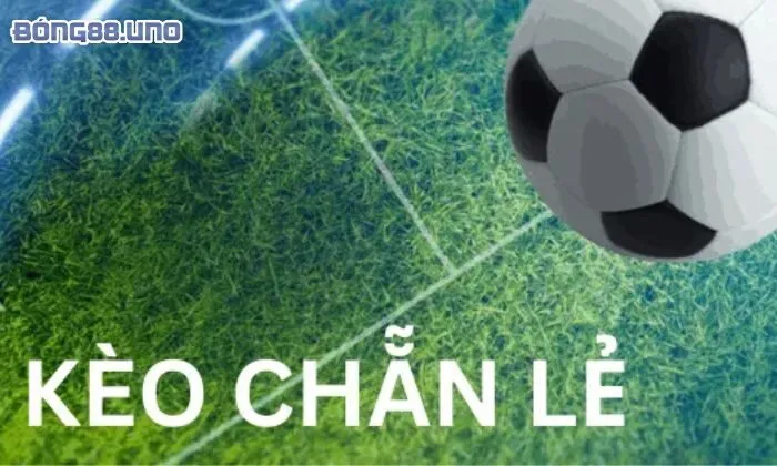 Thông tin chi tiết về kèo chẵn lẻ