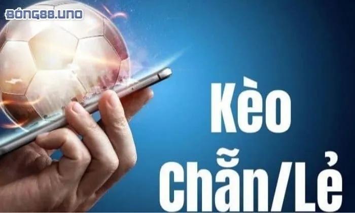 Phân loại những loại kèo chẵn lẻ