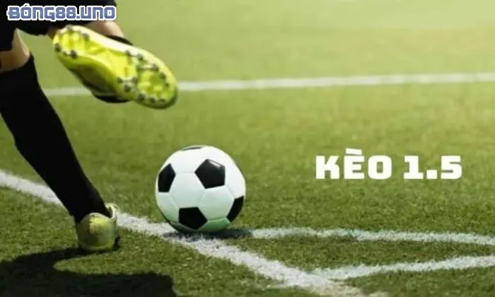 Cách đọc kèo chấp 1.5 chuẩn xác nhất