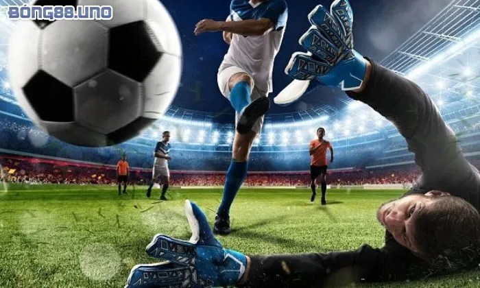 Mẹo bắt kèo rung trăm trận trăm thắng