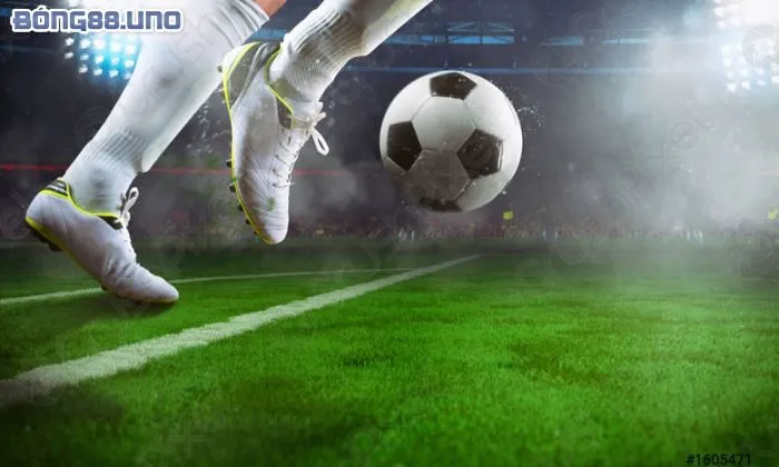 Cách nhận biết kèo tuồng chuẩn xác cho người chơi